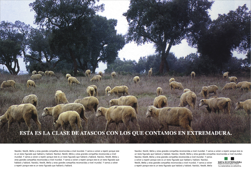 Junta de Extremadura — Repensar el territorio